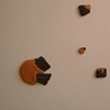 Brown & Golden