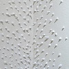 Porcelain Thorn Series