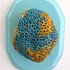 Tiny Series: 6