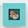 Beautiful Decay Series: Turquoise Blast