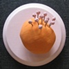 Tiny Series