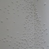 Cornered
