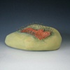 "Surrounded on the Isle Topographical Study