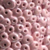 DUSTY ROSE GRASS GREEN (Detail View)