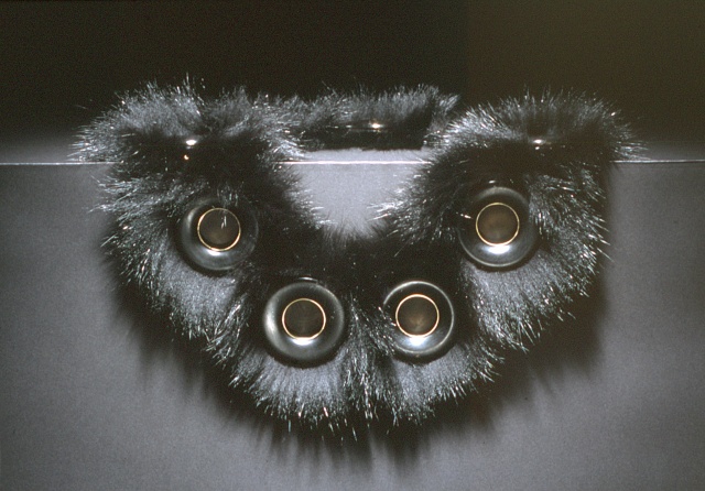 Black Beauty: Collar #3