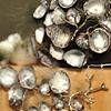 Wanderlux: Lichen Brooch 2010