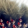 Black Beauty: Brooch #2