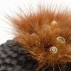 Porifera