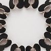 Belgian Collar