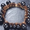 Black Beauty: Collar #4