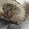 Mineral Brooch