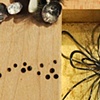Wanderlux: Scatter Pins in Drawer 2010