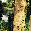 site-specific installation
Sir Elton John/ Swarovski crystal