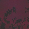 back drop 