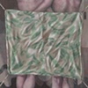 Modest Gels I