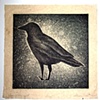 Crow and the Light