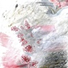Volatile Certainty #7