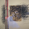Self-Indulgent Certainty #3