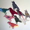 Bird Accumulation