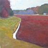 Crimson Bog, Gold Grasses