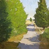 Cedars on the Marsh