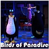 Birds of Paradise