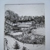 Wellesley College Alumnae Valley Vertical