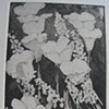 CALIFORNIA LANDSCAPE ETCHINGS