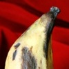 Plantain