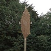 Real Estate For Birds?    