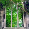 Framed Trees