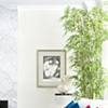 Living Room Profile