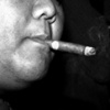 Stogie