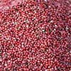 Market - Bulk Peppercorn #2