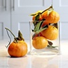 Table + Tangerines