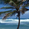 Coastline 