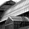 Greenhouse