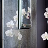 Mirror/Orchid