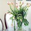 Dining Room + Tulips