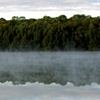 Morning Mist