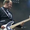 The Hives