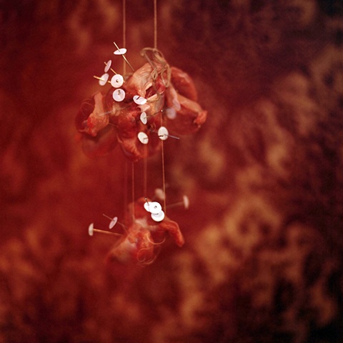 meat ornament twelve