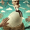 Illustrations