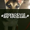 *Special*