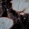 Soft Space