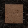 Brackish Book (cover)