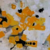 HIve