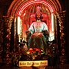 Senor Del Divino Amor