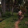 Old Bali Rice Worker
