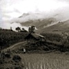 Sapa Landscape 2